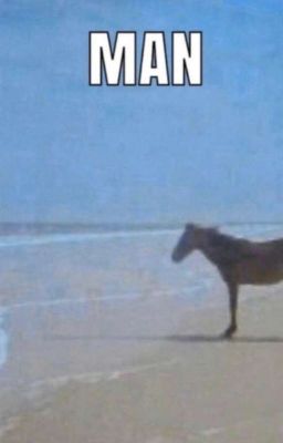 MCYT(Mostly Hermitcraft)Oneshot Boo...