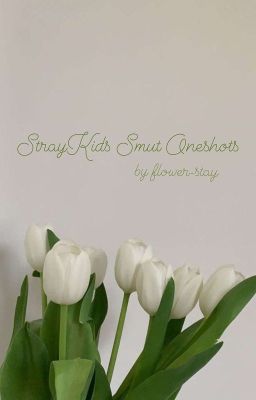 -stray kids smut oneshots-