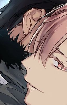 System, are you messing with me?