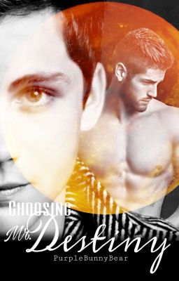 Choosing Mr. Destiny