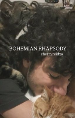 𝐁𝐎𝐇𝐄𝐌𝐈𝐀𝐍 𝐑𝐇𝐀𝐏𝐒𝐎𝐃𝐘 || 𝐌𝐀𝐑𝐀𝐔𝐃𝐄𝐑𝐒 𝐈𝐌𝐀𝐆𝐈𝐍𝐄𝐒