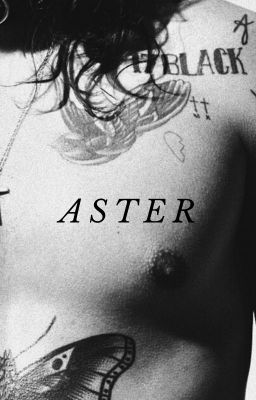 aster
